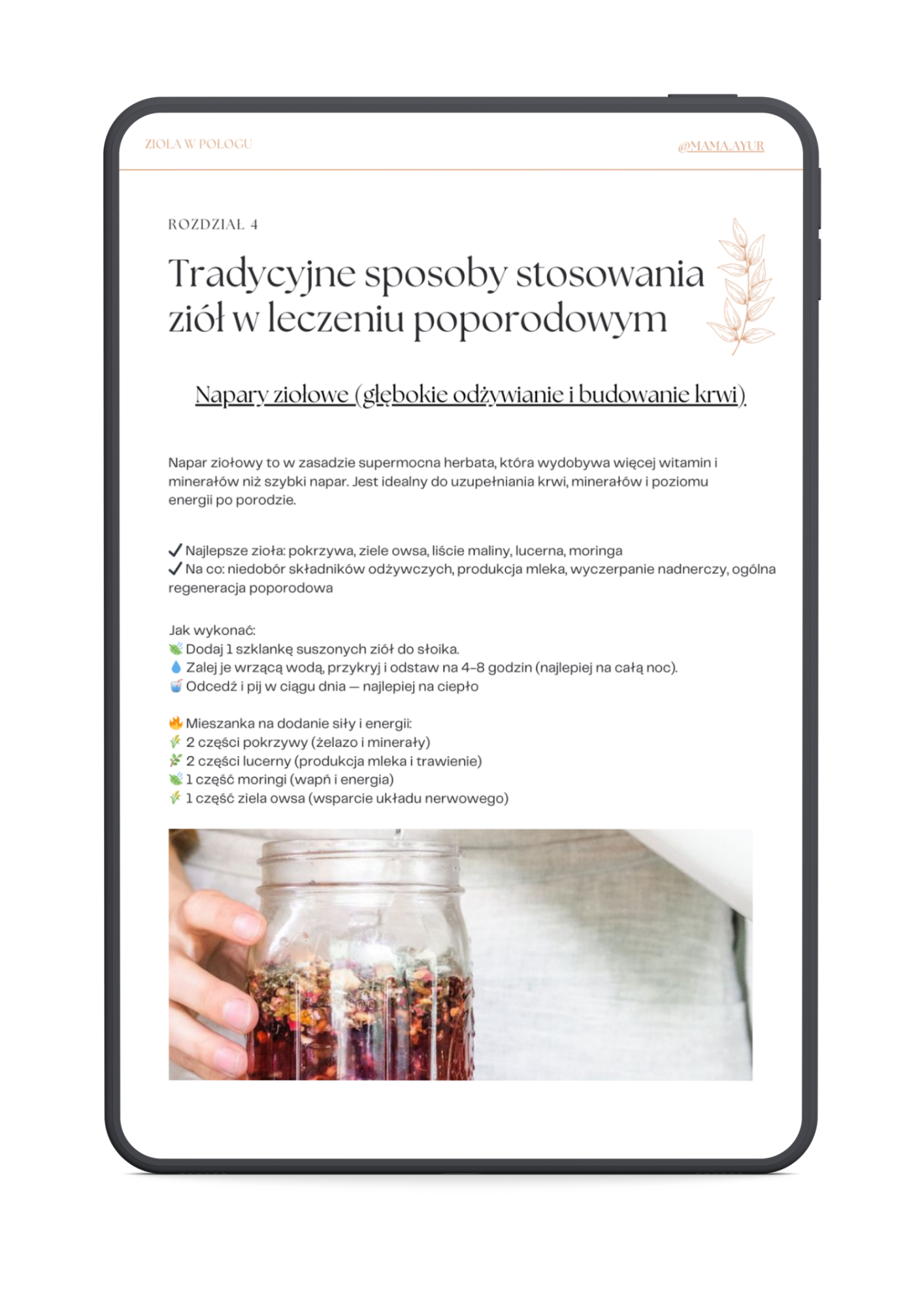 Zioła w Połogu - obrazek 3