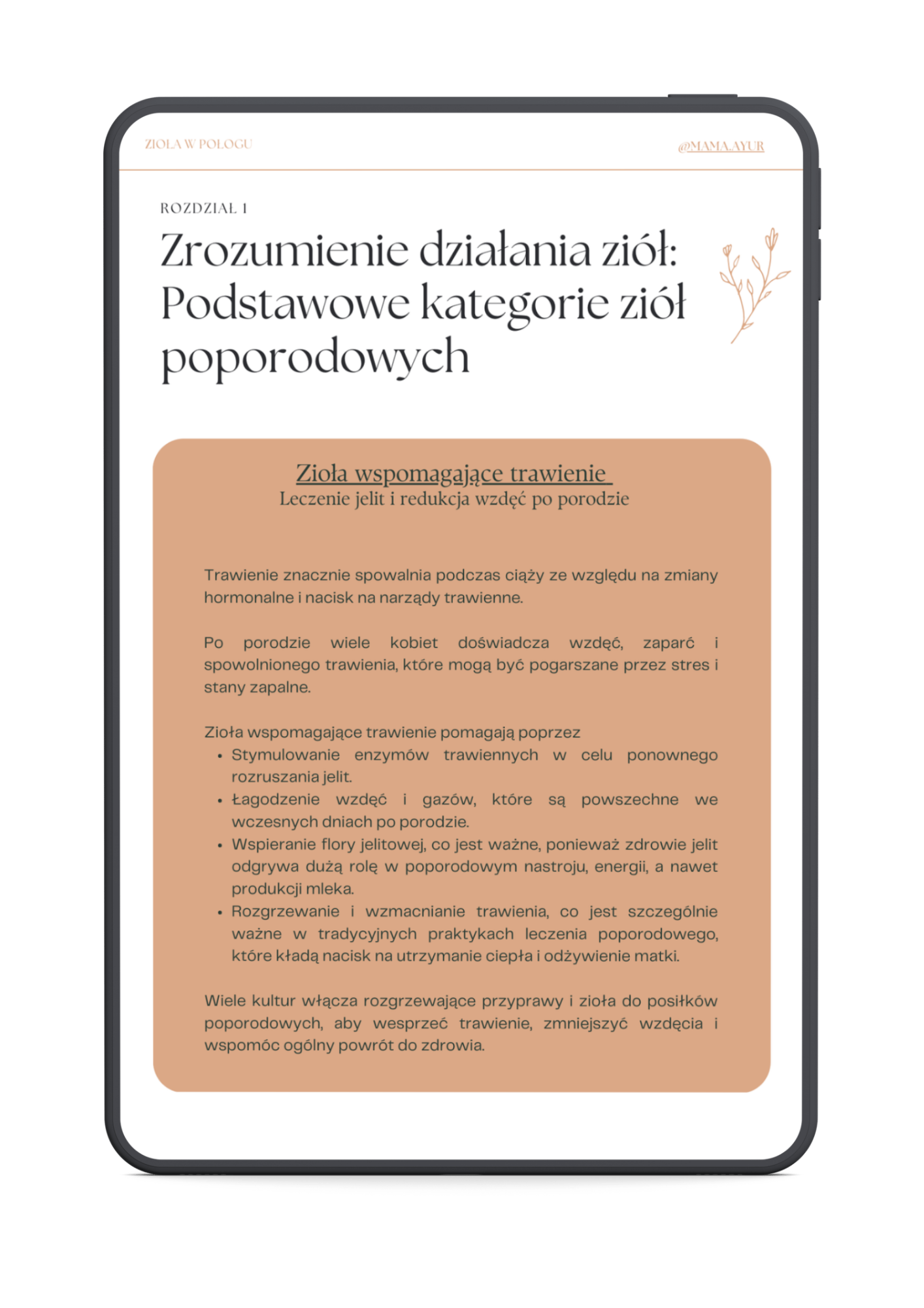 Odżywcze posiłki na czas połogu - obrazek 3